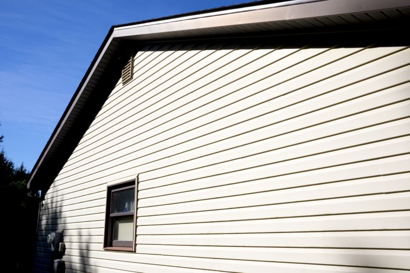 White Vinyl Siding Replacement